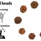 7 Mukhi Rudraksha With Cap