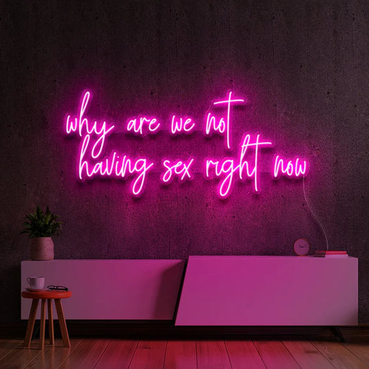 WHY ARE WE NOT HAVING SEX RIGHT NOW- Neon Sign